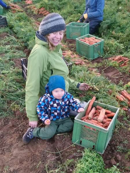 Ulrike Wolf bei der Karottenernte.